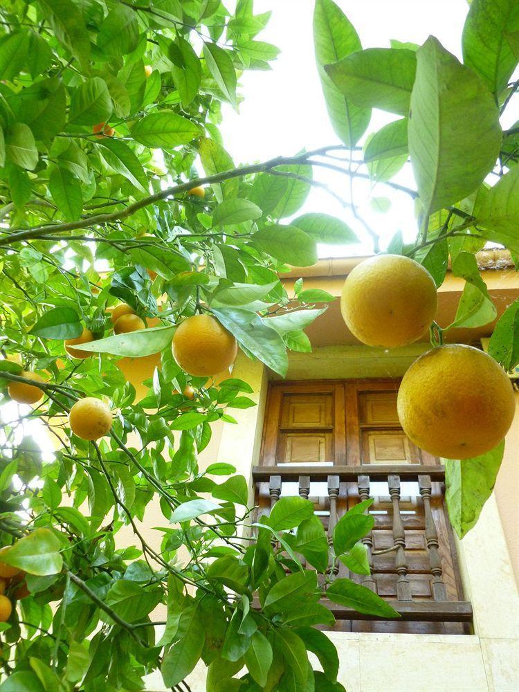 Hotel Rural La Balconada Oviédo Exterior foto